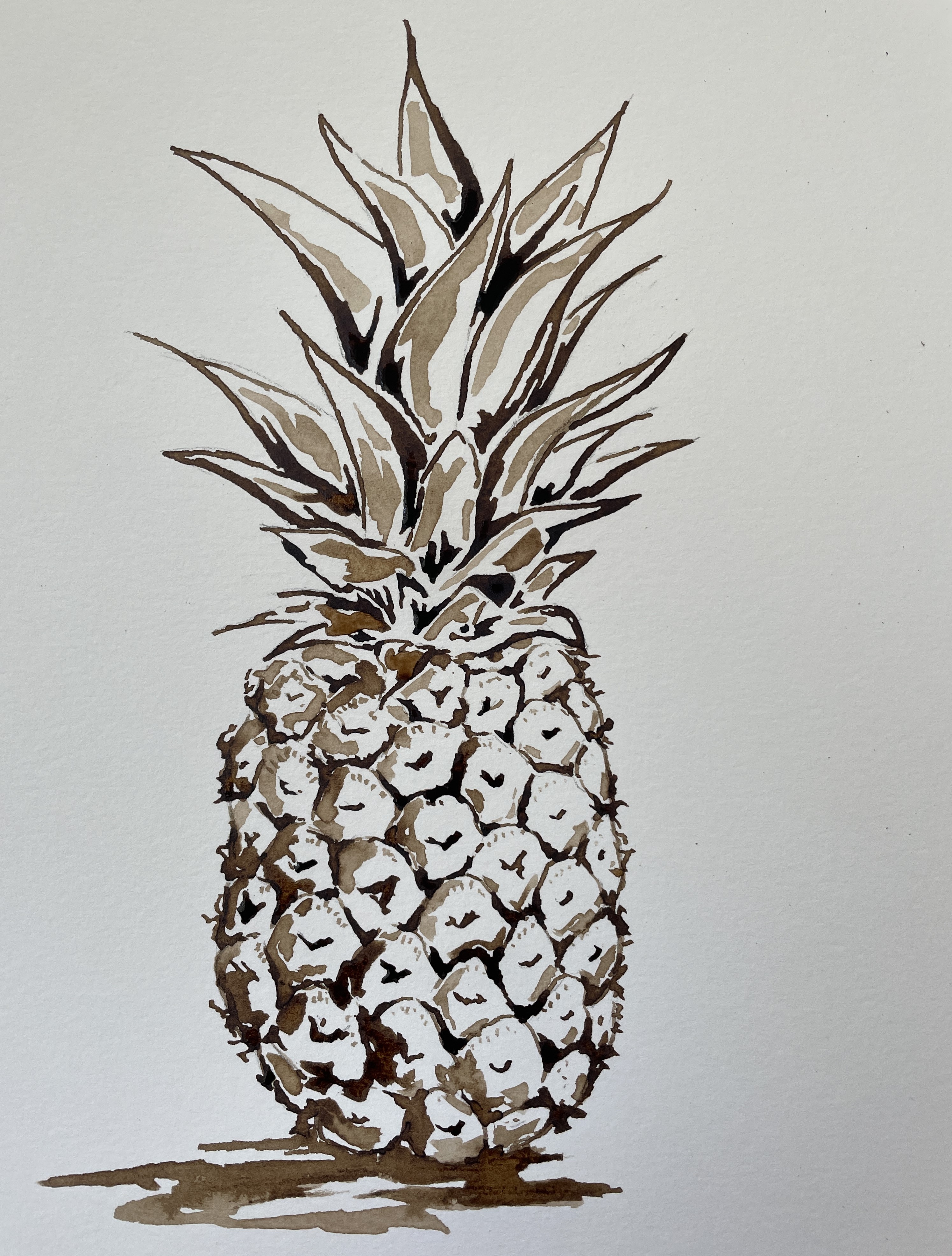 Un ananas au brou de noix de Manuela le 13 septembre 2022