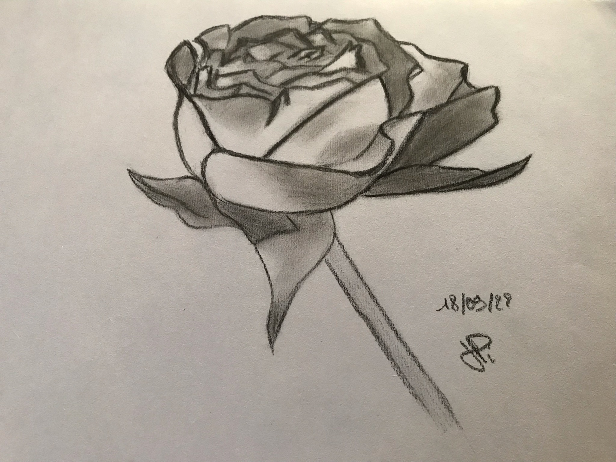 Dessiner une rose de Jean pierre le 18 septembre 2022