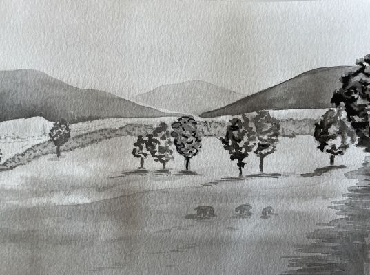 Dessiner à l'encre de chine, Une plaine verdoyante de Manuela le 22 septembre 2022