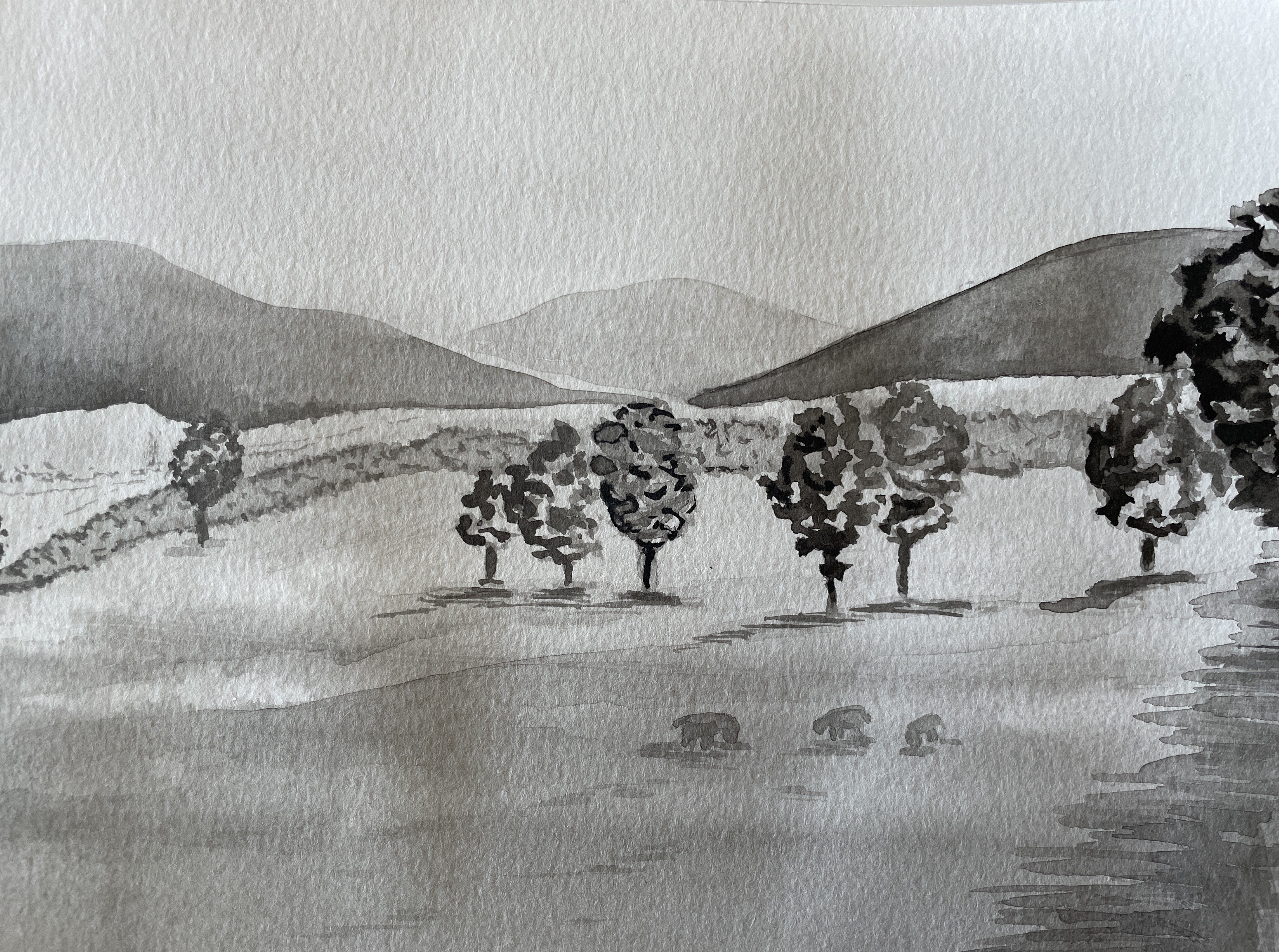 Dessiner à l'encre de chine, Une plaine verdoyante de Manuela le 22 septembre 2022