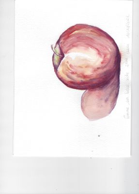 Peindre une pomme sur base sèche à l'aquarelle de Mireille le 11 octobre 2022