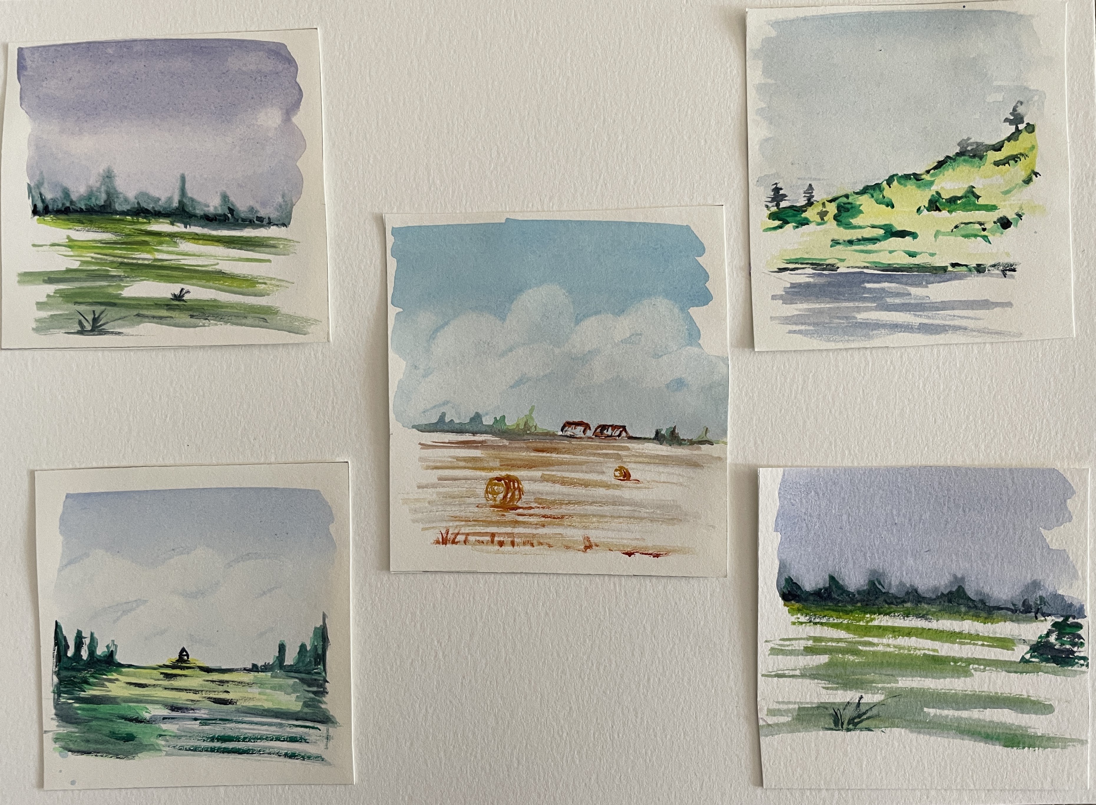Exercice de Lavis avec deux petits paysages de Manuela le 11 octobre 2022