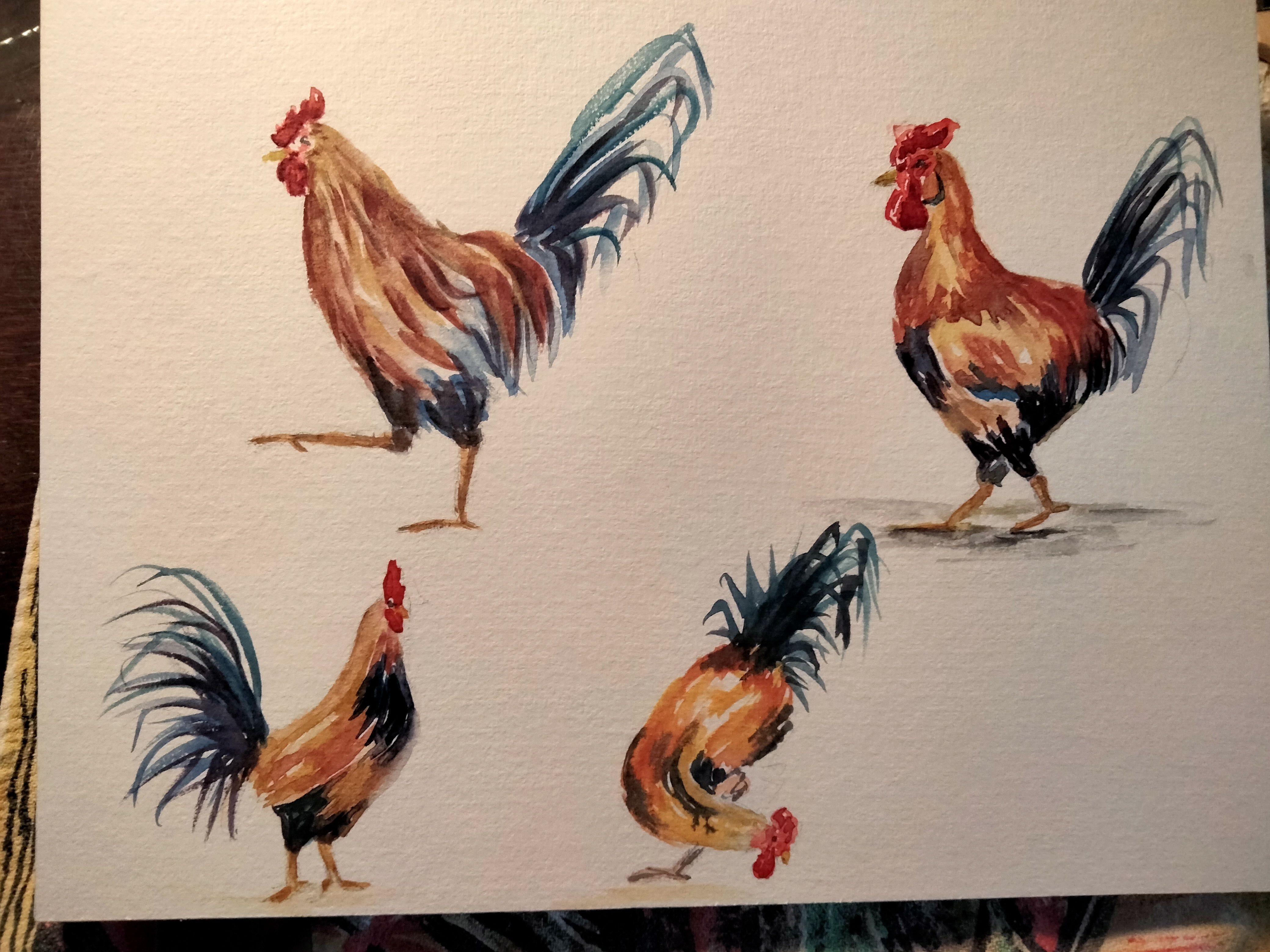 Un coq à l'aquarelle dans tous ses états de Sylvie le 17 octobre 2022