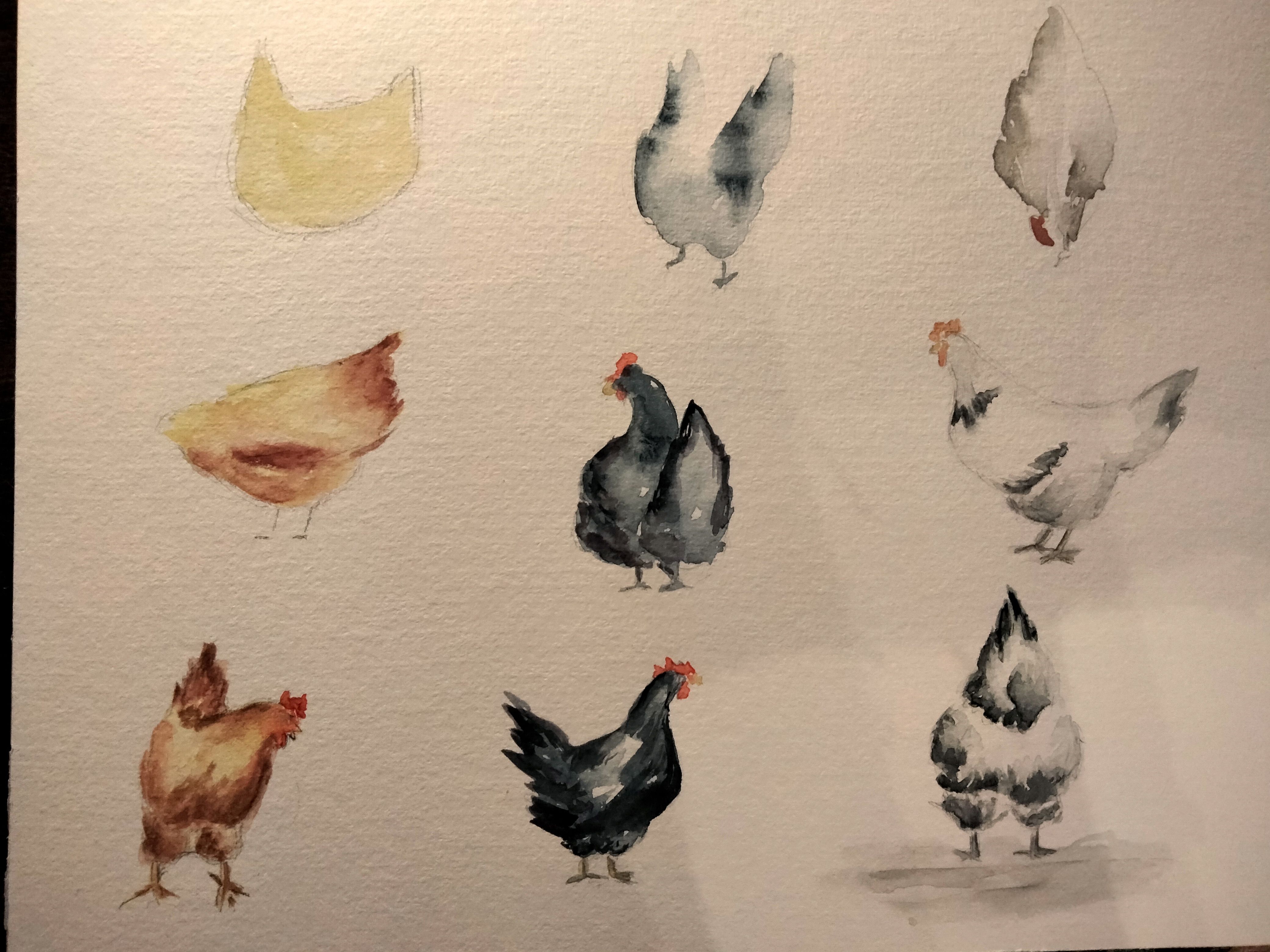 Poules sous toutes les coutures à l'aquarelle de Sylvie le 18 octobre 2022