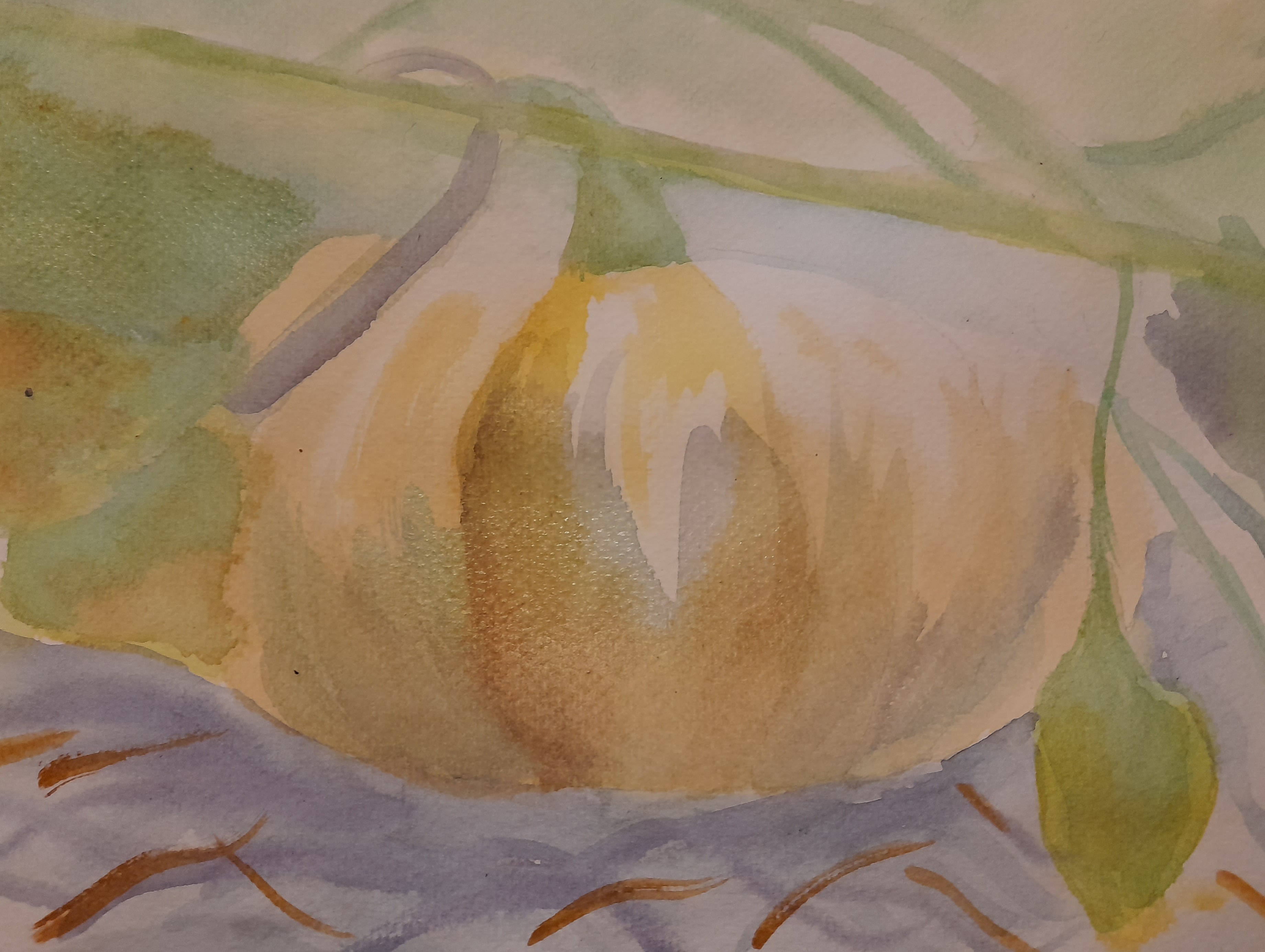 Une citrouille à l'Aquarelle de Pascale le 22 octobre 2022