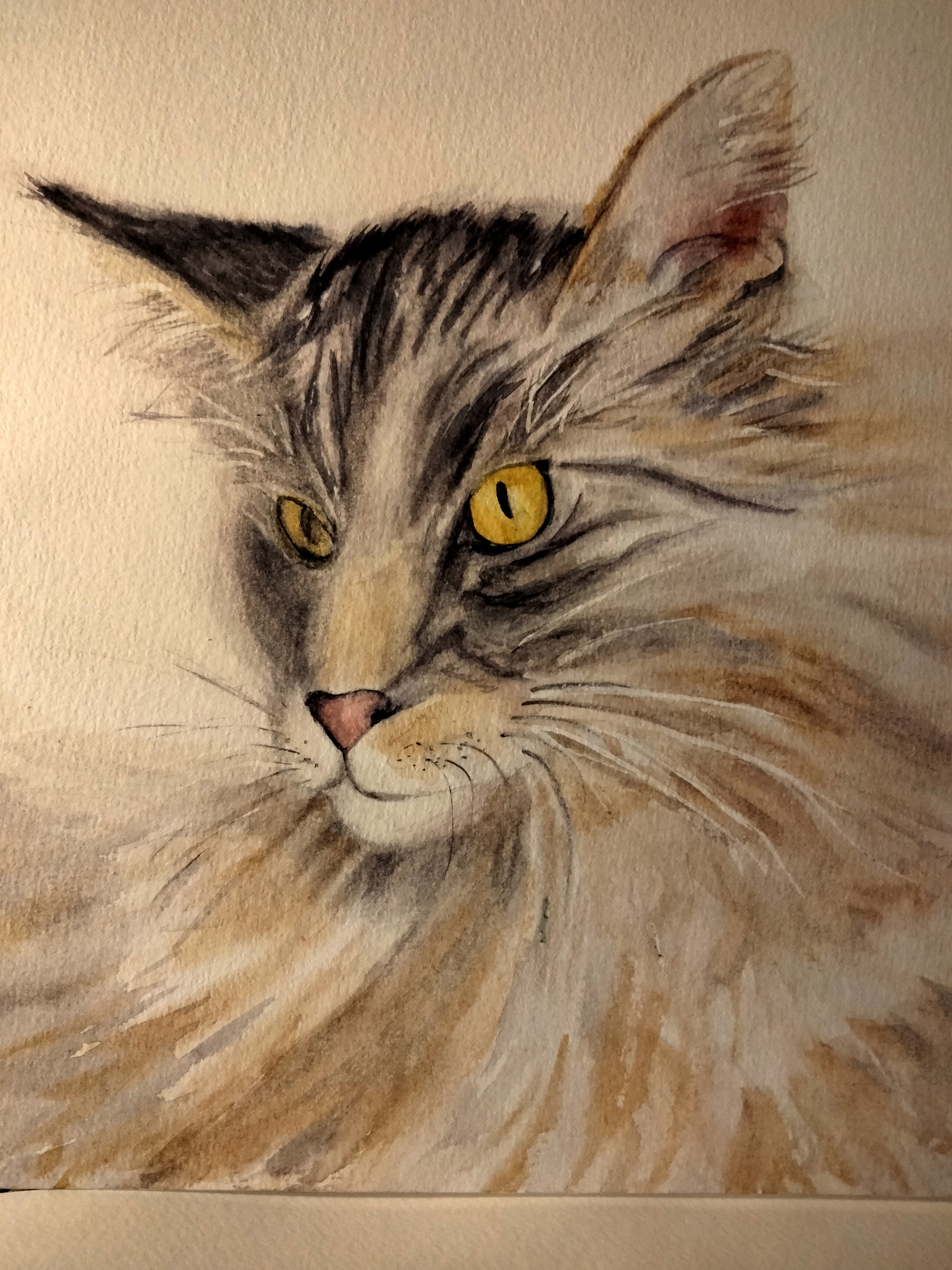 Un chat à l'aquarelle de Sylvie le 22 octobre 2022
