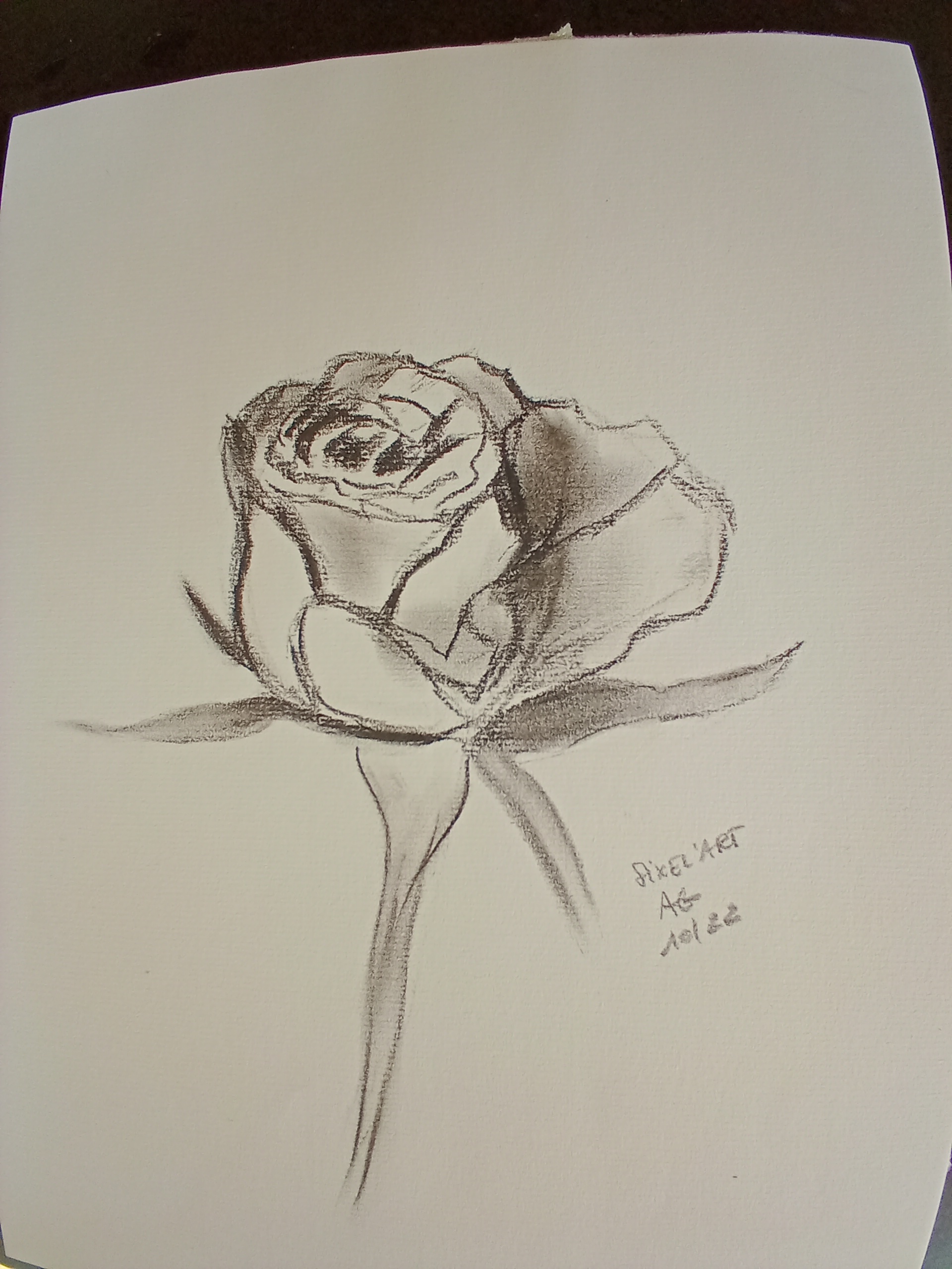 Dessiner une rose de Audrey le 24 octobre 2022