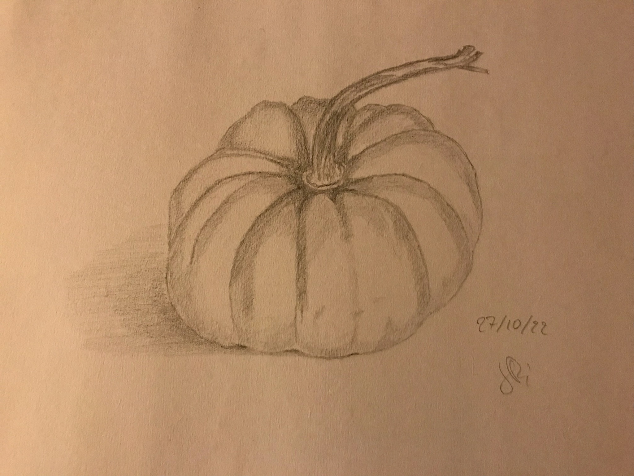 Dessin d'observation : une courge de Jean pierre le 27 octobre 2022