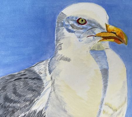Peindre une mouette à l'huile de Sylvie le 28 octobre 2022