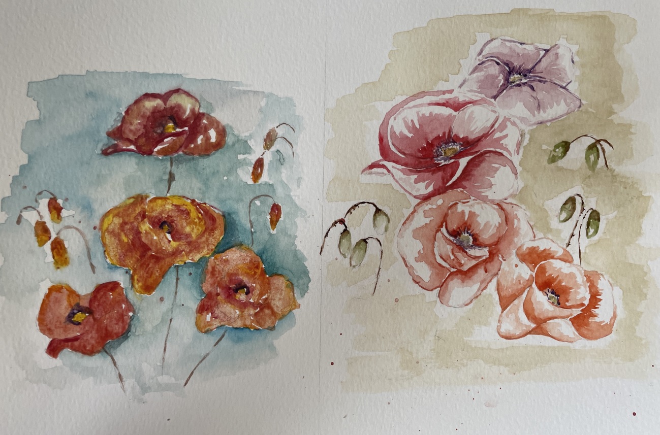 Peindre un coquelicot à l'aquarelle de Manuela le 04 novembre 2022
