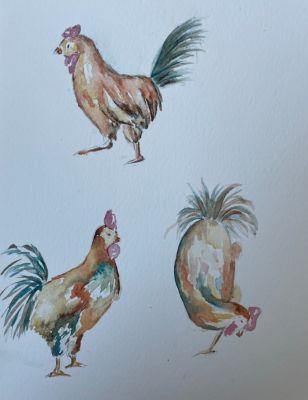 Un coq à l'aquarelle dans tous ses états de Manuela le 15 novembre 2022