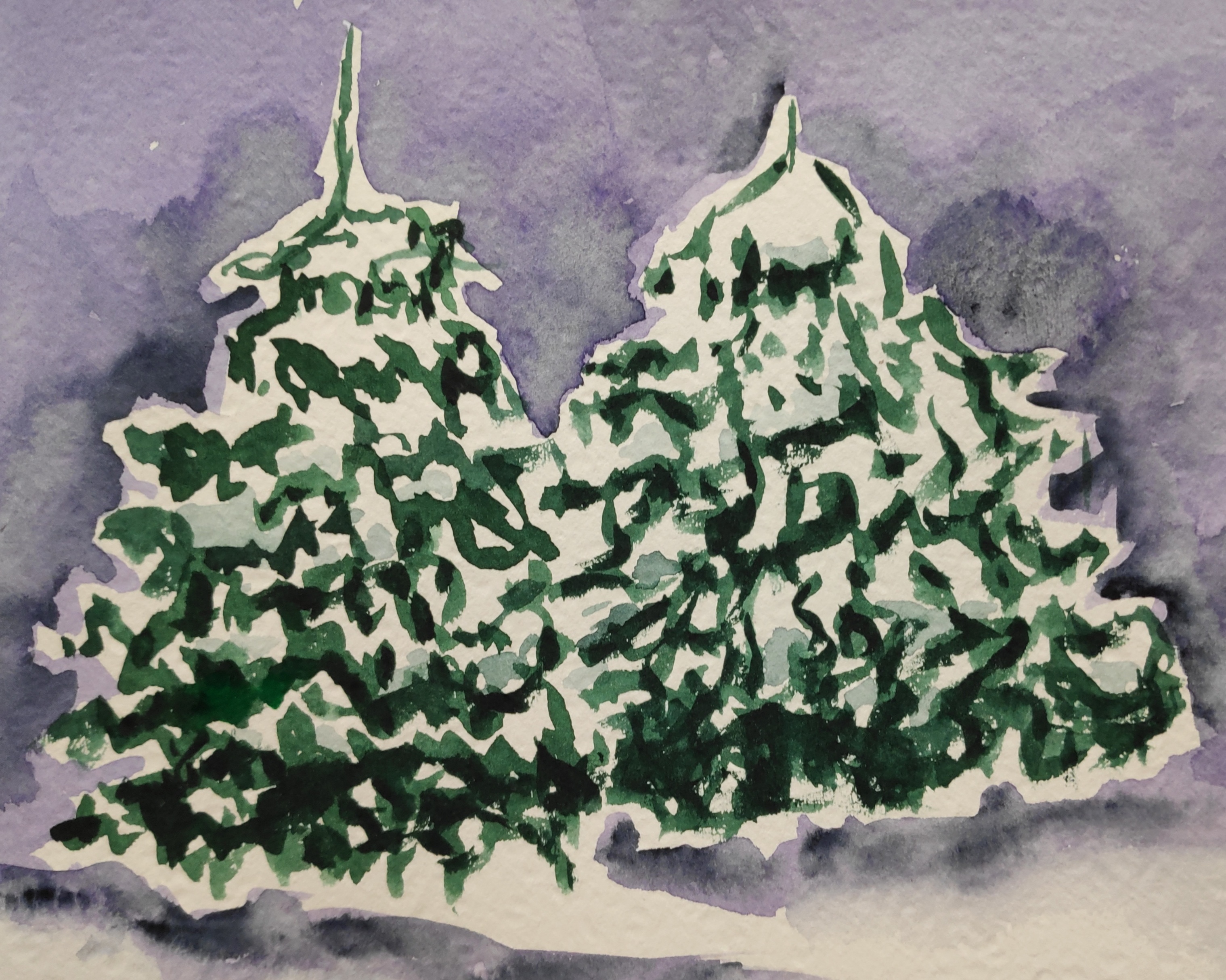 Un sapin sous la neige à l'aquarelle de Mireille le 28 novembre 2022