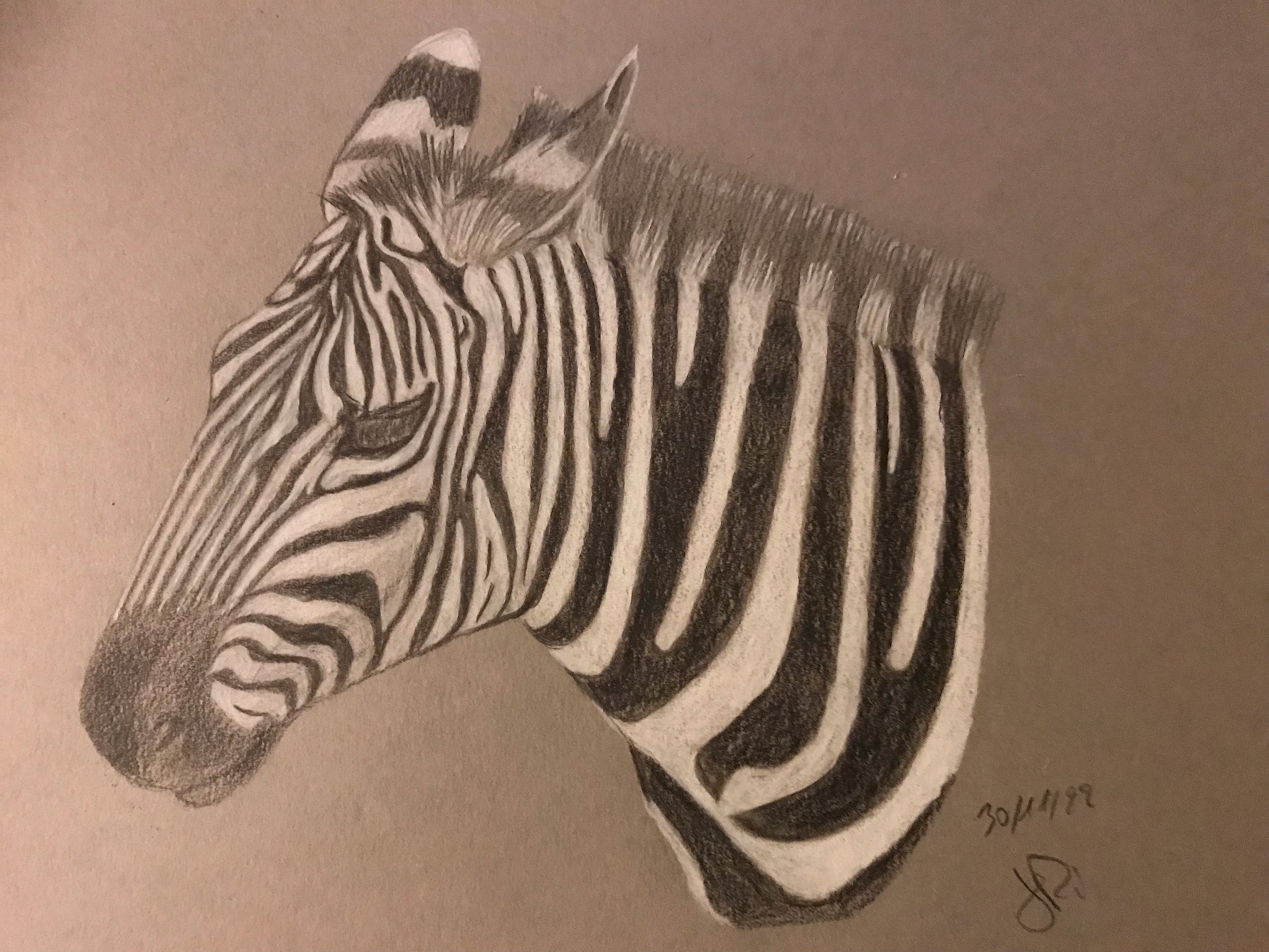 Dessiner une tete de zebre de Jean pierre le 30 novembre 2022
