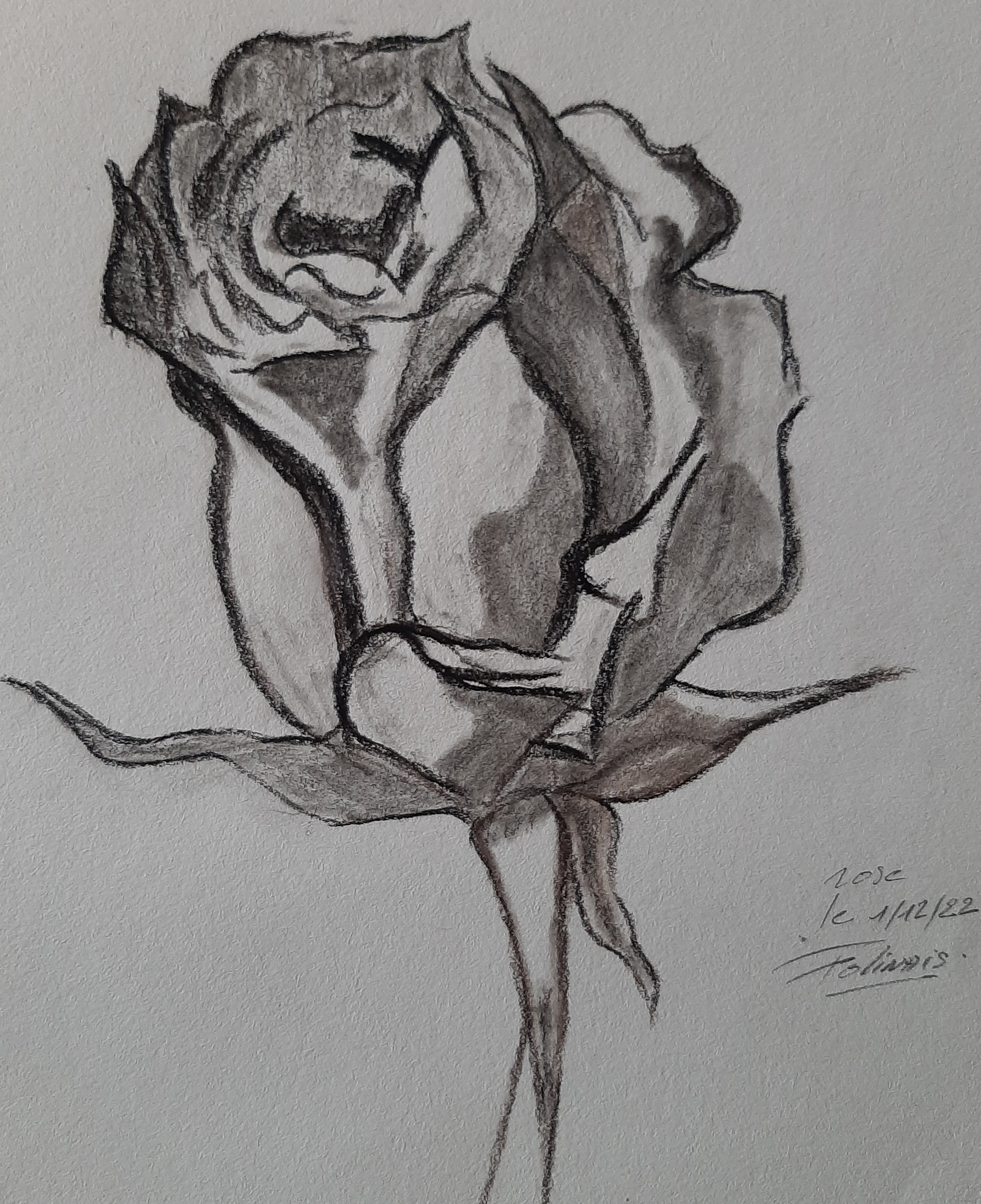 Dessiner une rose de Janick le 01 décembre 2022