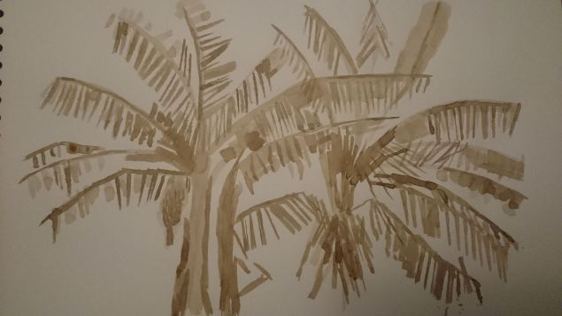 Dessiner au Brou de noix, Un bananier de Françoise le 05 décembre 2022