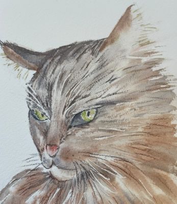 Un chat à l'aquarelle de Manuela le 05 décembre 2022