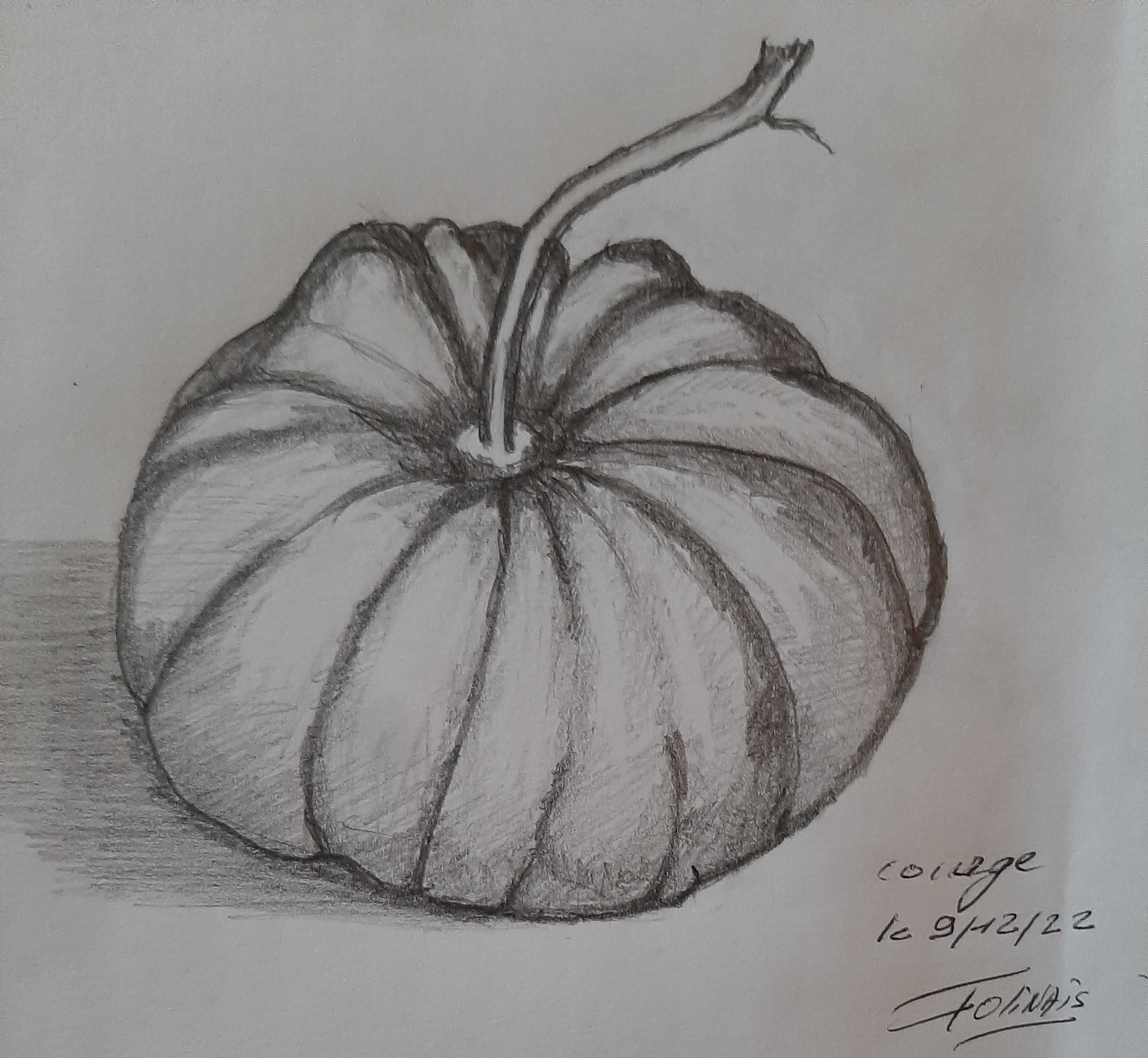 Dessin d'observation : une courge de Janick le 09 décembre 2022