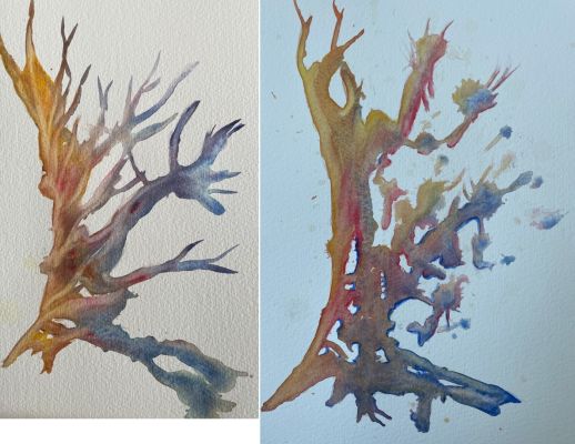 Texture de l’arbre à l’aquarelle, Episode 3 : Les pinceaux de Manuela le 14 décembre 2022