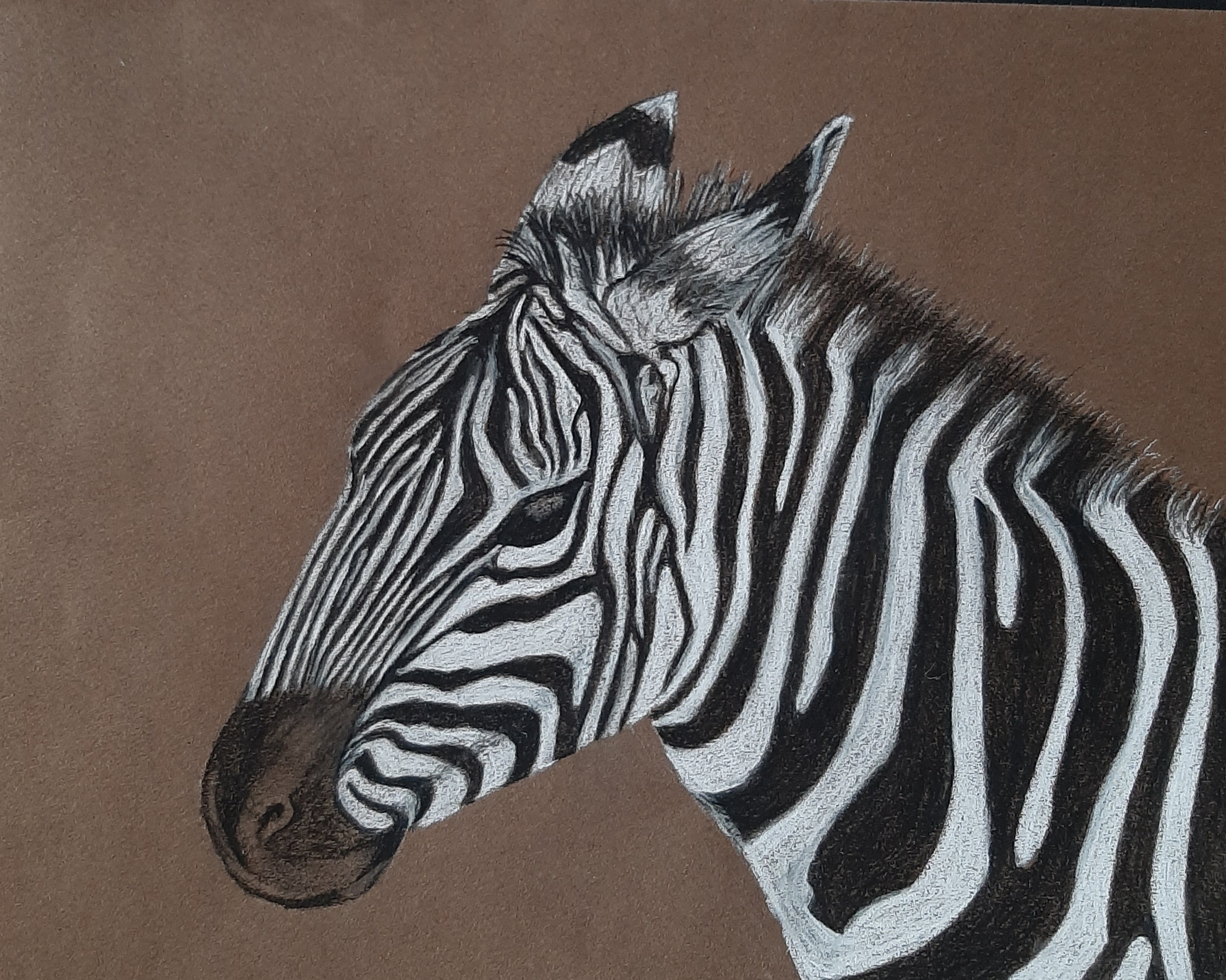 Dessiner une tete de zebre de Janick le 16 décembre 2022