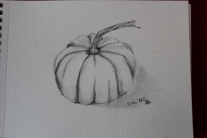 Dessin d'observation : une courge de Audrey le 18 décembre 2022