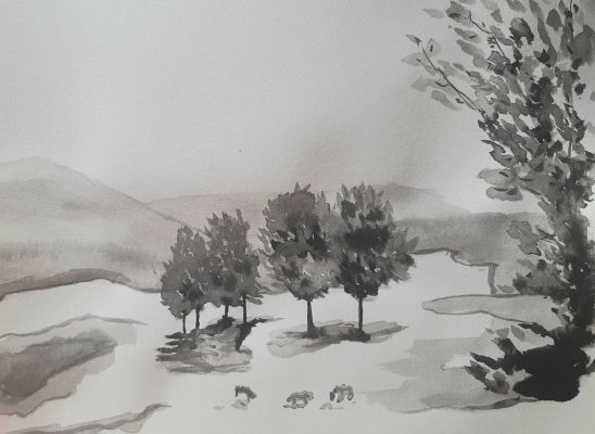 Dessiner à l'encre de chine, Une plaine verdoyante de Janick le 28 décembre 2022