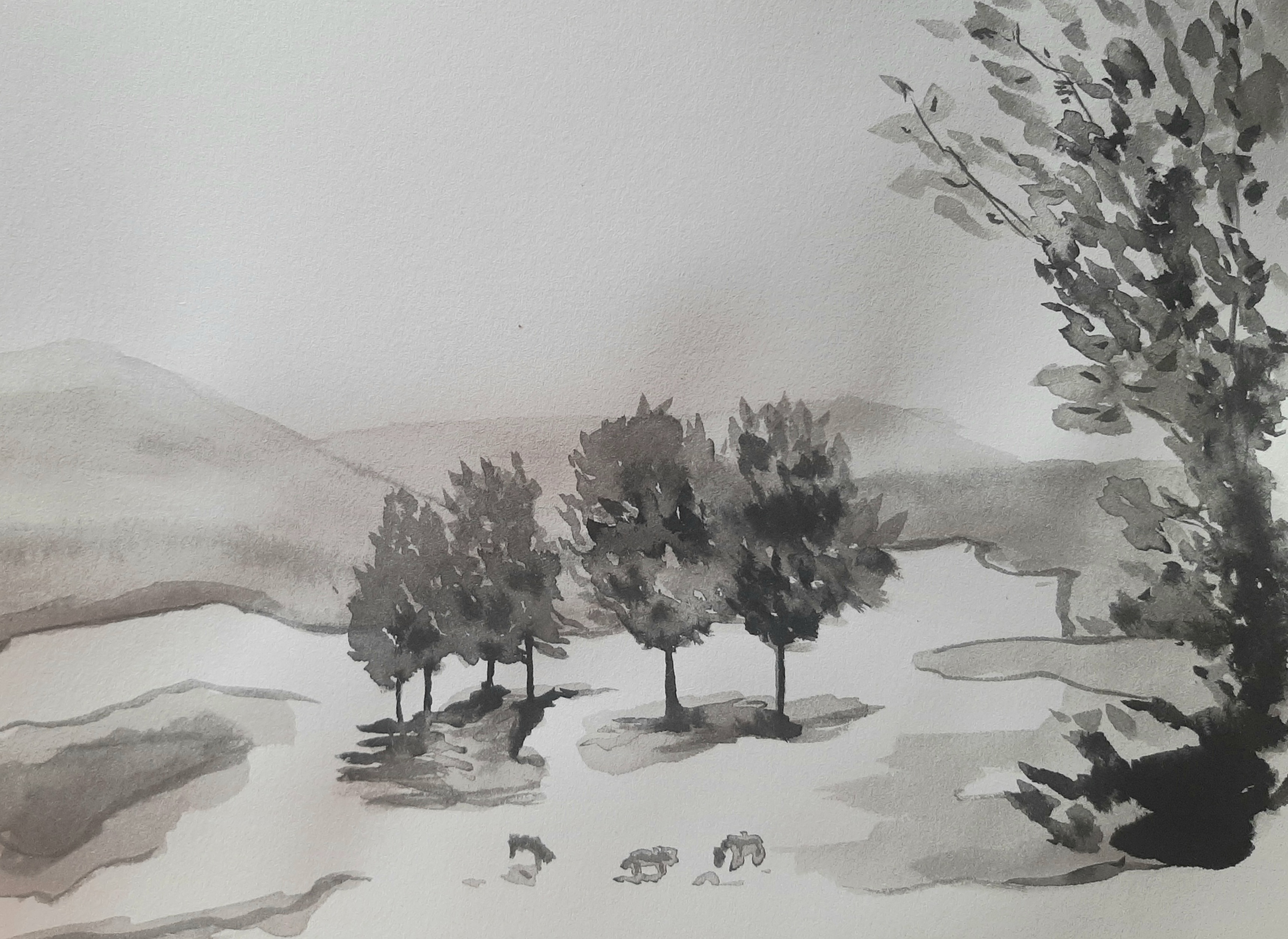Dessiner à l'encre de chine, Une plaine verdoyante de Janick le 28 décembre 2022