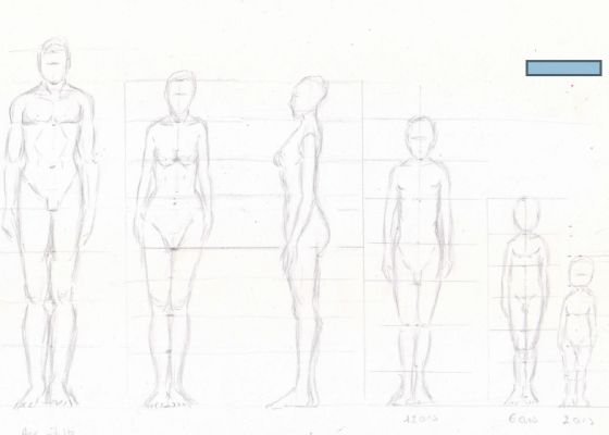 Les proportions du corps humain en Dessin de Muriel le 04 janvier 2023