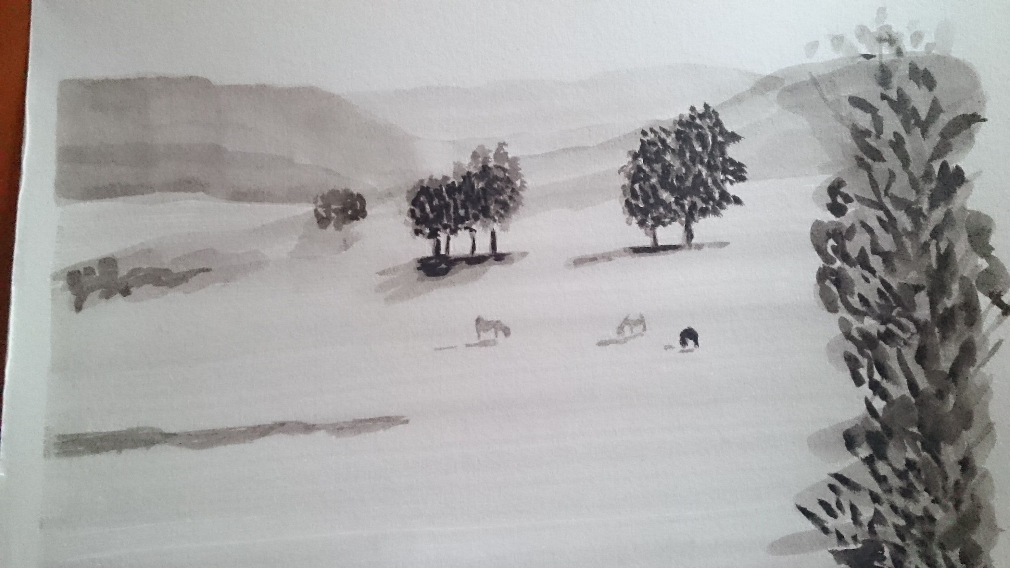Dessiner à l'encre de chine, Une plaine verdoyante de Françoise le 04 janvier 2023