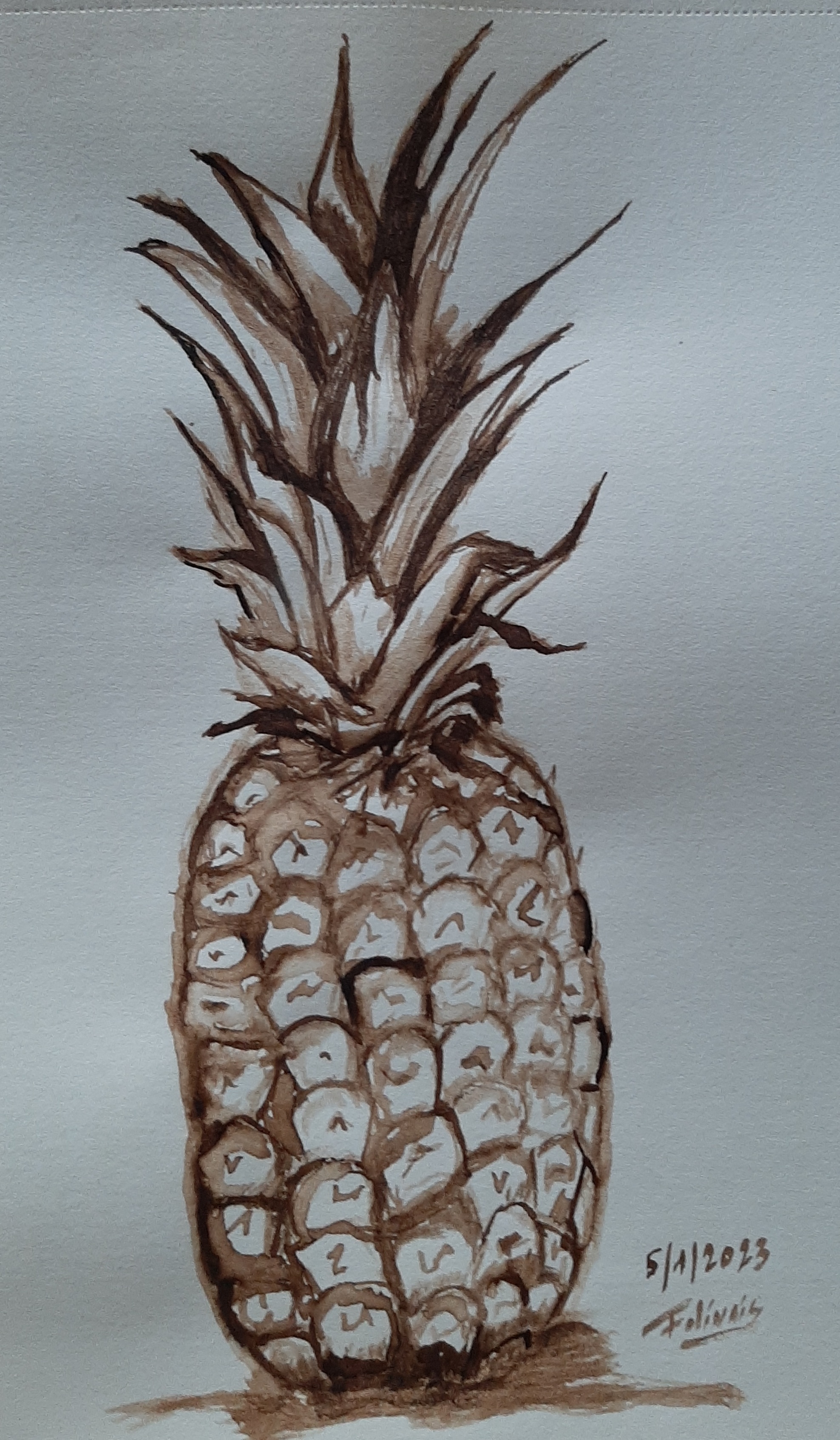 Un ananas au brou de noix de Janick le 06 janvier 2023