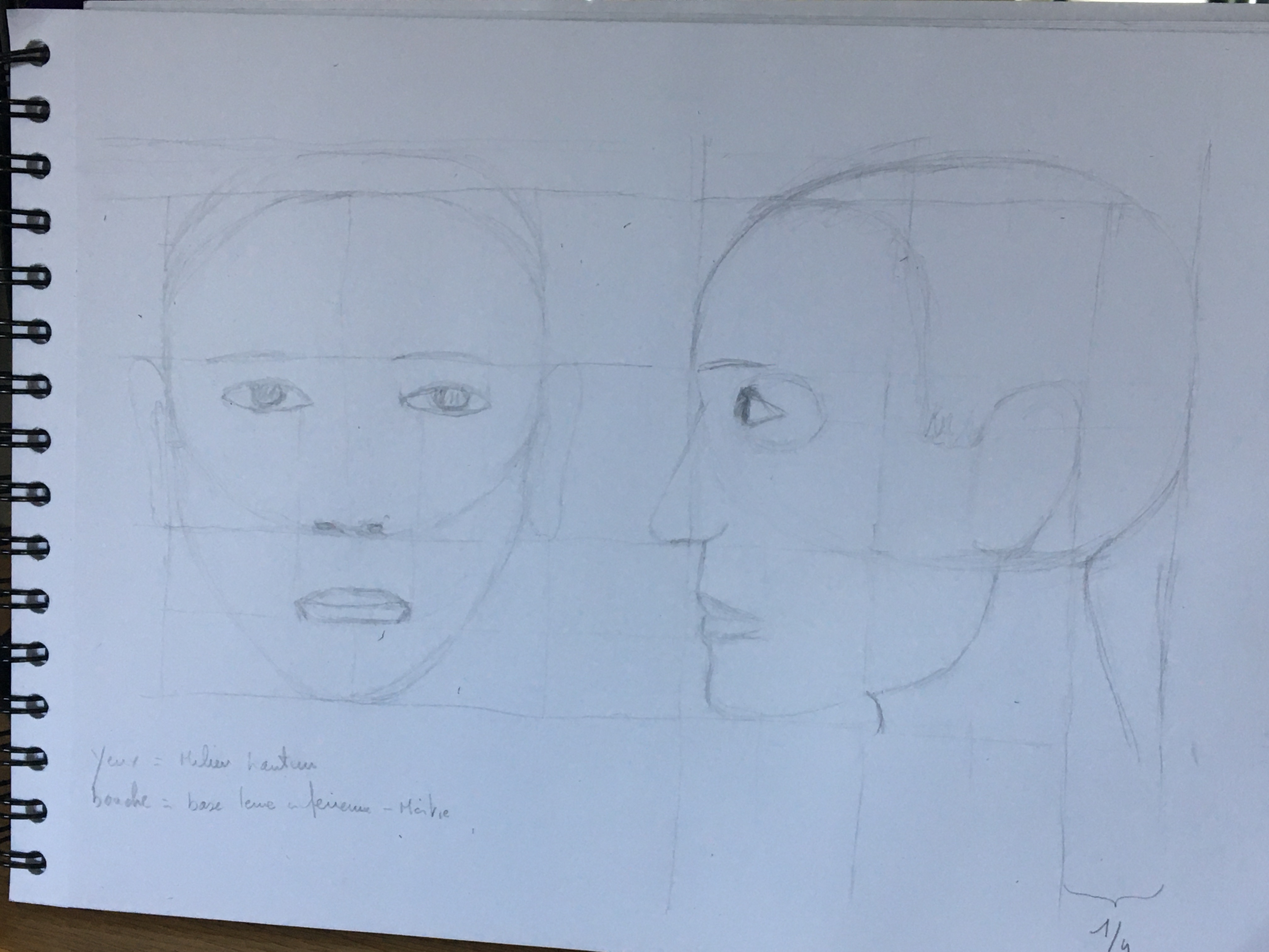 Les Proportions du visage en Dessin de Valerie le 15 janvier 2023