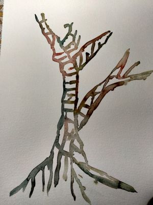 Texture de l'arbre à l'aquarelle, Episode 1 : Les étapes de Sylvie le 25 janvier 2023