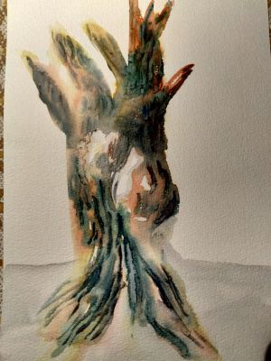 Texture de l’arbre à l’aquarelle, Episode 2 : L'Essentiel de Sylvie le 25 janvier 2023