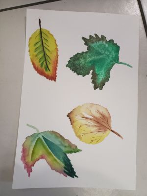 Le mariage du pigment et de l'eau à l'aquarelle de Nathalie le 03 février 2023