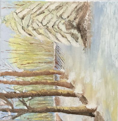 Une forêt sous la neige de Sylvie le 06 février 2023