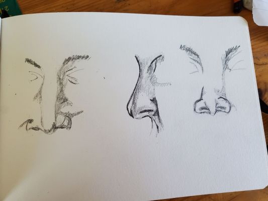 Dessiner le visage : Le nez de Nathalie le 14 février 2023