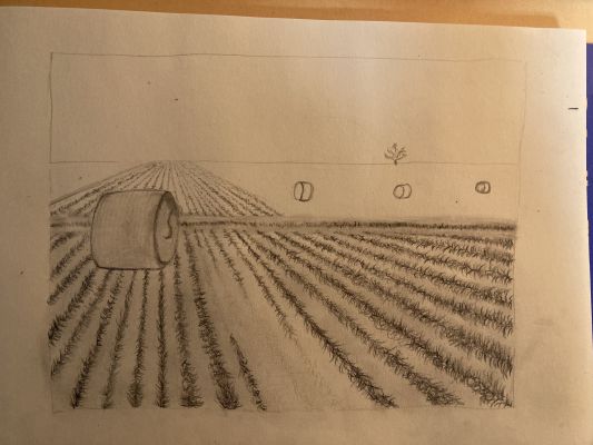 Perspective de paysage en Dessin de Carla le 21 février 2023