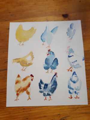 Poules sous toutes les coutures à l'aquarelle de Nathalie le 22 février 2023