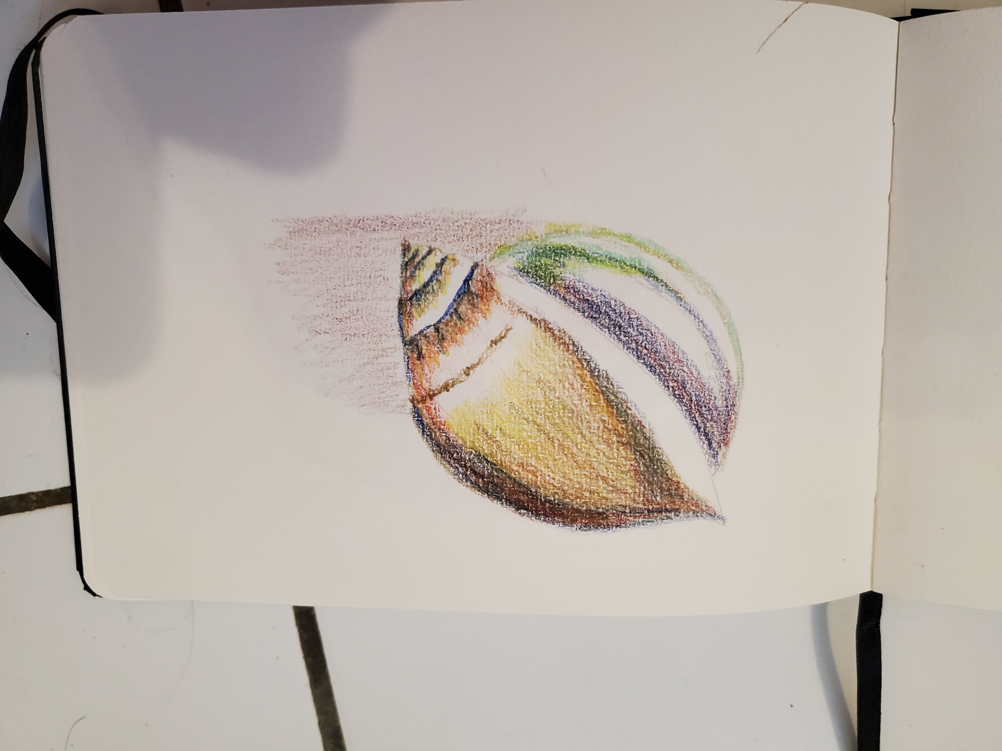 Un coquillage aux crayons de couleur de Nathalie le 24 février 2023