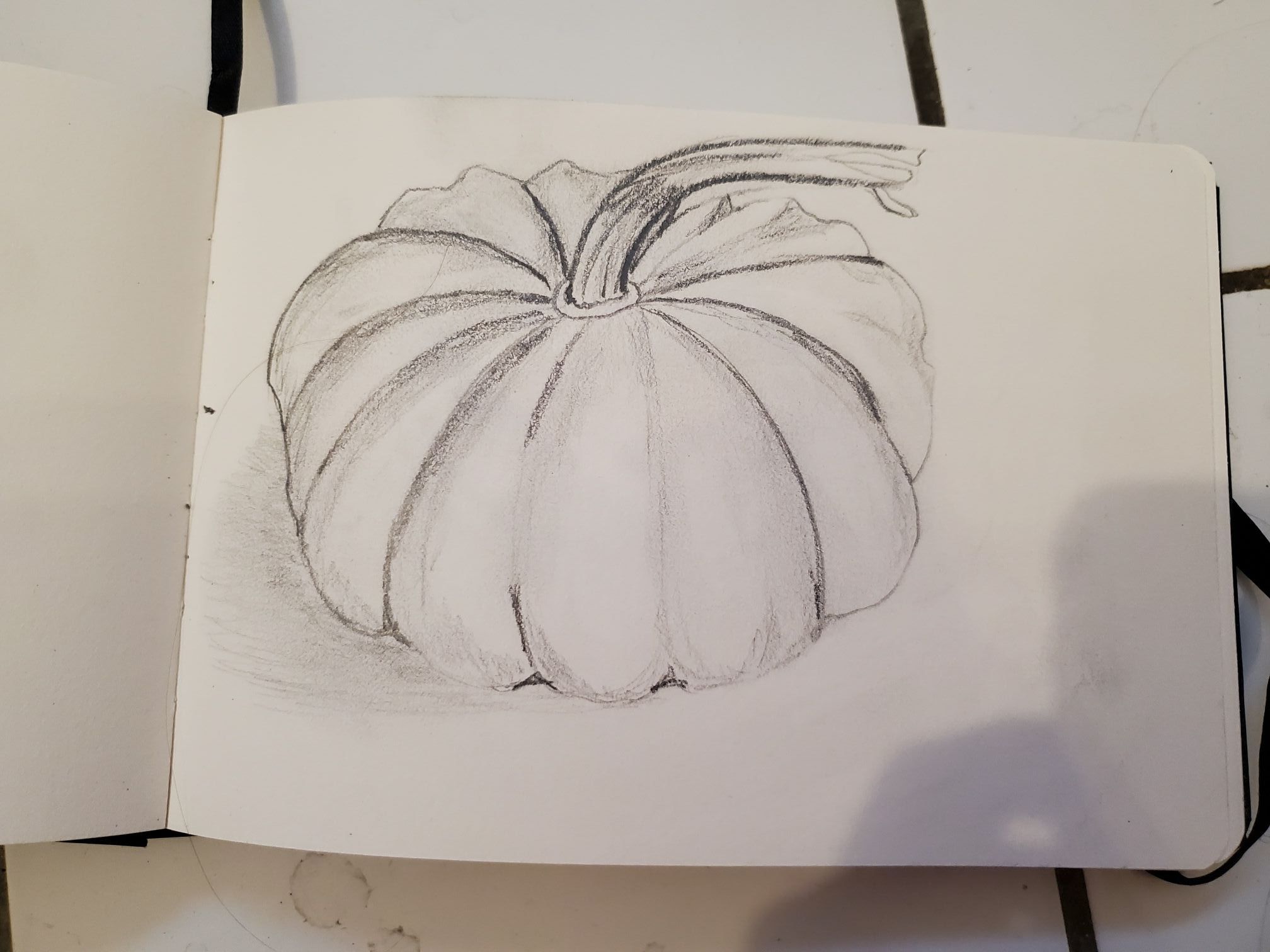 Dessin d'observation : une courge de Nathalie le 24 février 2023