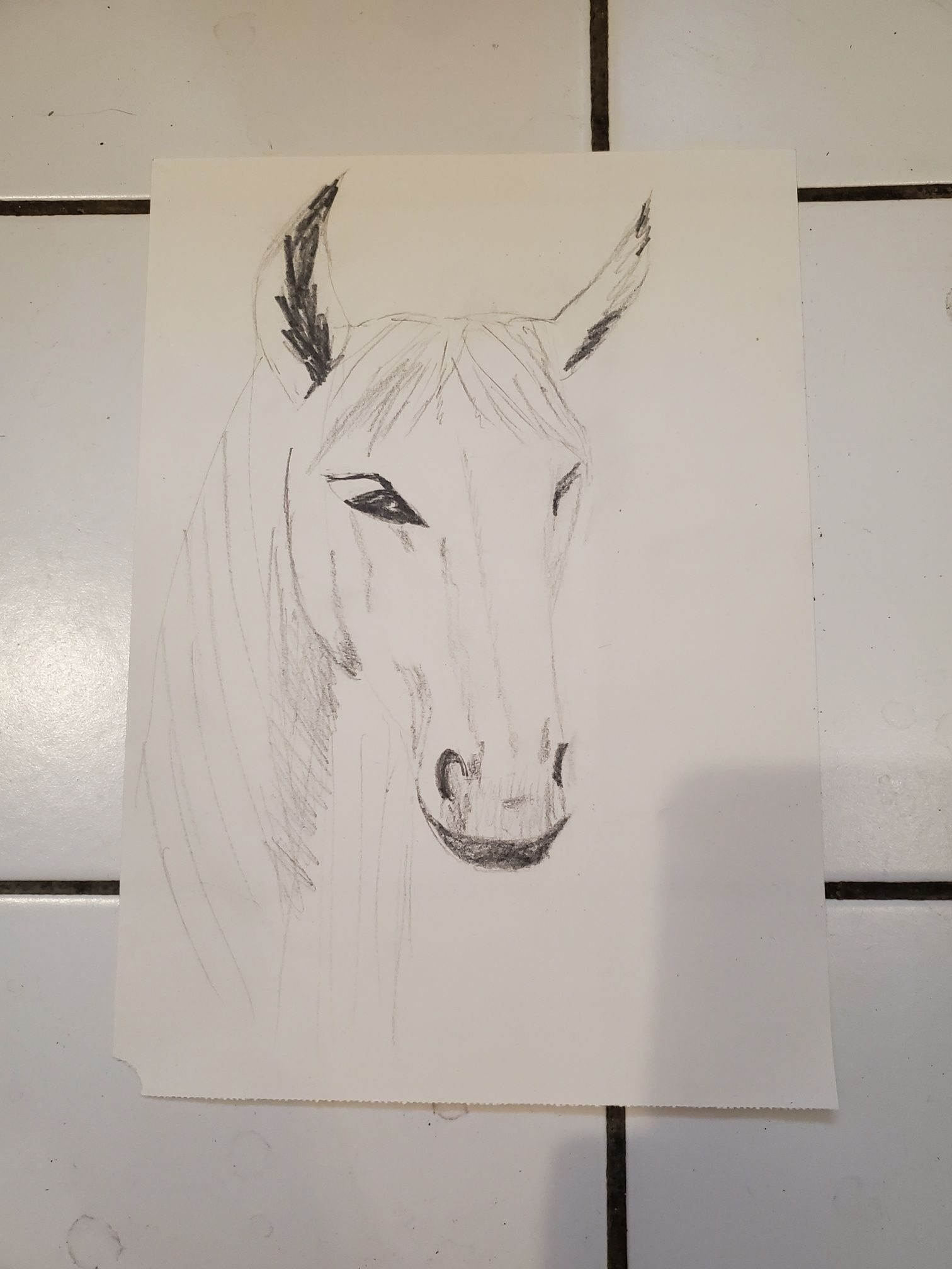 Croquer la tête d'un cheval de Nathalie le 24 février 2023
