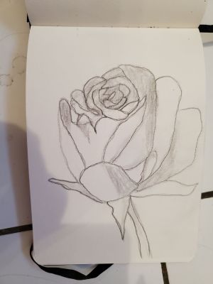 Dessiner une rose de Nathalie le 24 février 2023