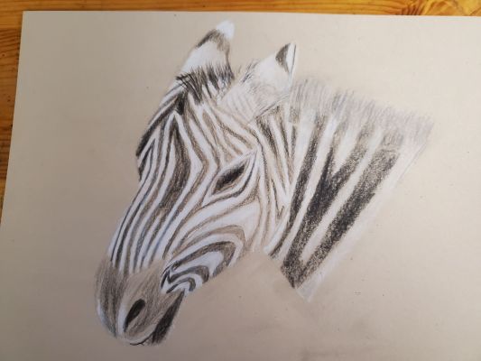 Dessiner une tete de zebre de Nathalie le 28 février 2023