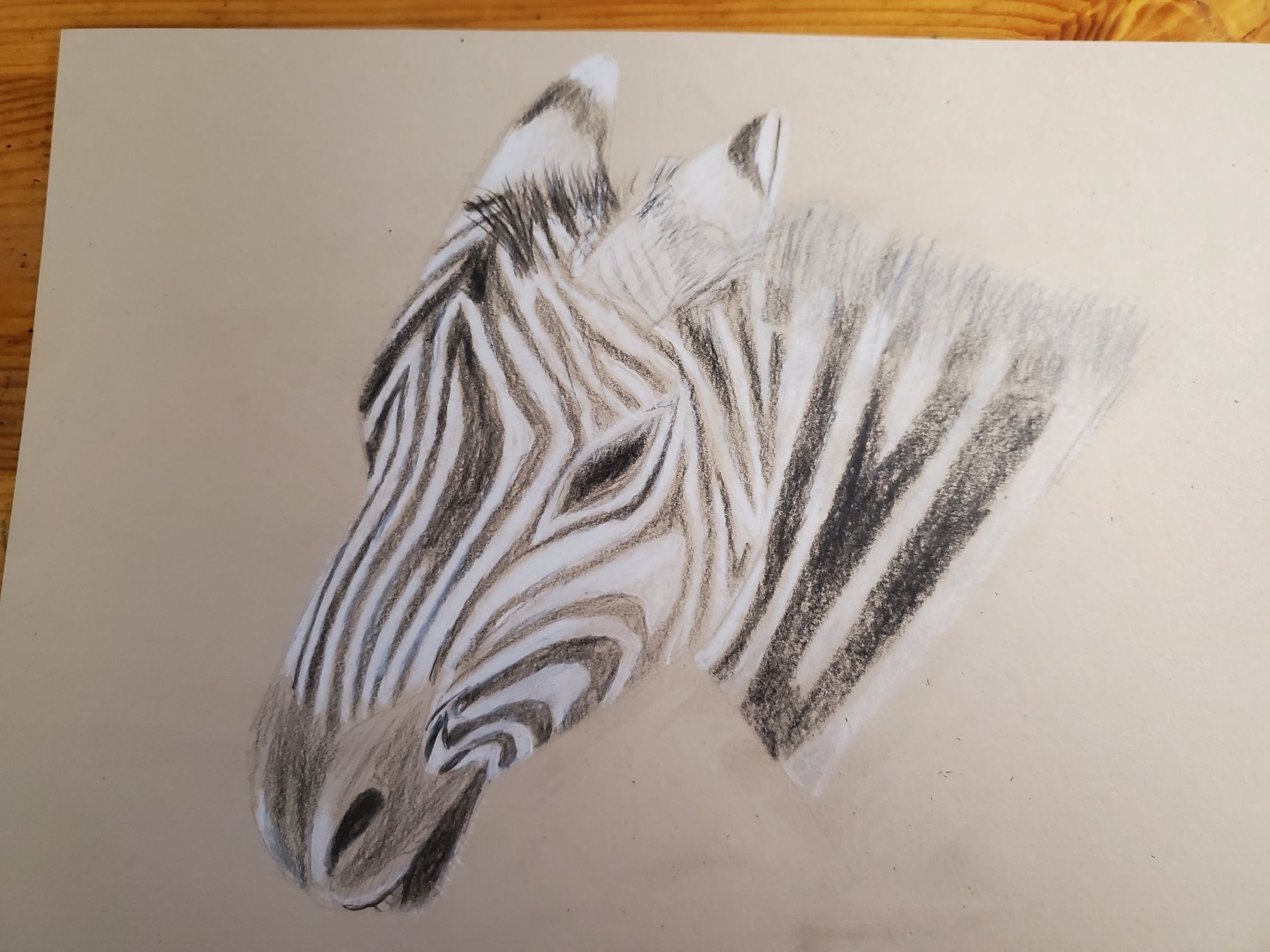 Dessiner une tete de zebre de Nathalie le 28 février 2023