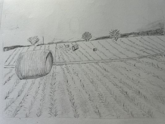 Perspective de paysage en Dessin de Yvette le 01 mars 2023