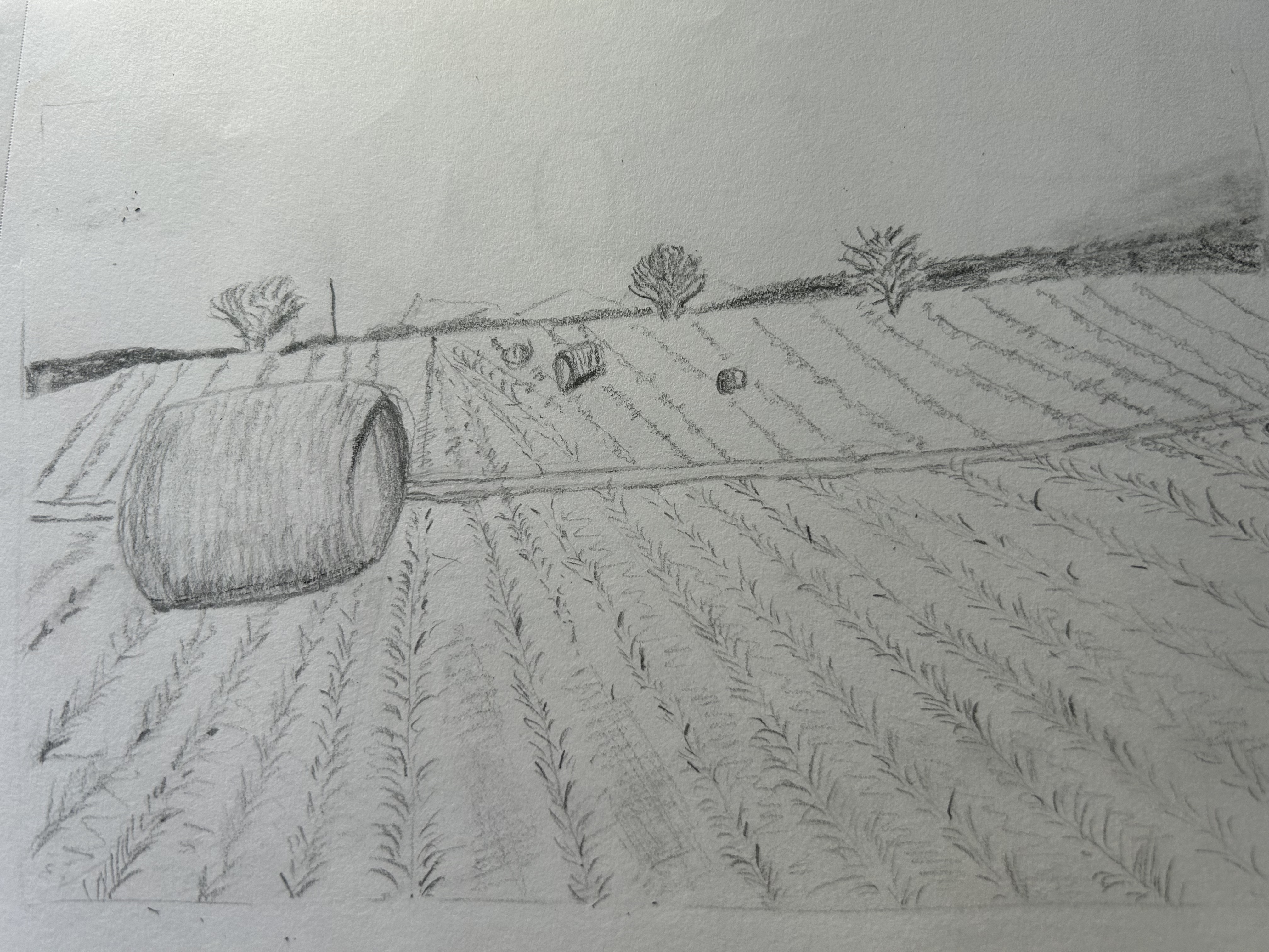 Perspective de paysage en Dessin de Yvette le 01 mars 2023