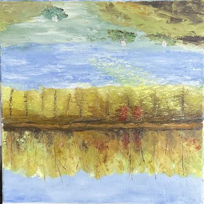 Un paysage Audomarois de Sylvie le 03 mars 2023