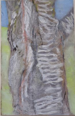 Textures : Ecorce de platane au pastel de Anne-marie le 16 mars 2023