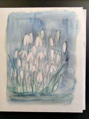 Des perce-neige à l'Aquarelle de Sylvie le 19 mars 2023