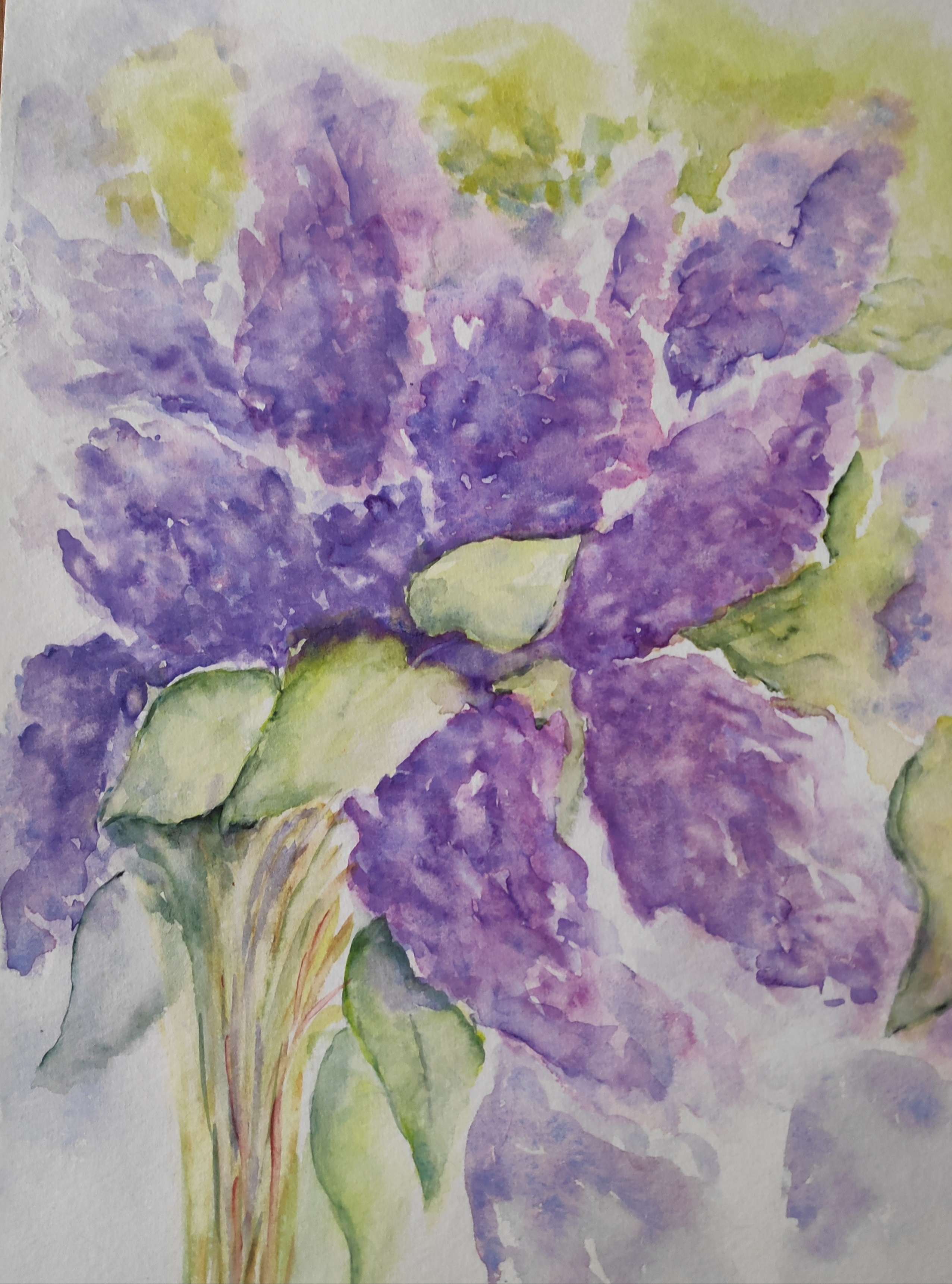Un bouquet de lilas Séquence 02 de Mireille le 20 mars 2023
