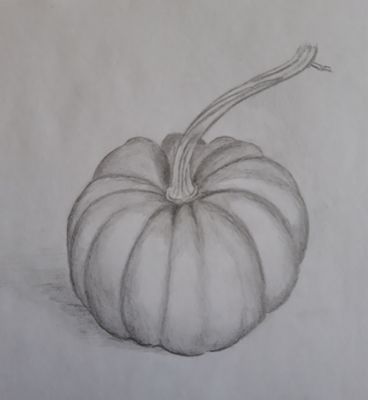 Dessin d'observation : une courge de Muriel le 28 mars 2023